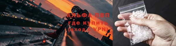 PSILOCYBIN Аркадак