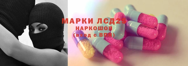 PSILOCYBIN Аркадак