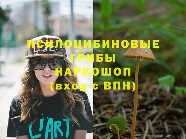 PSILOCYBIN Аркадак