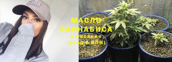 PSILOCYBIN Аркадак